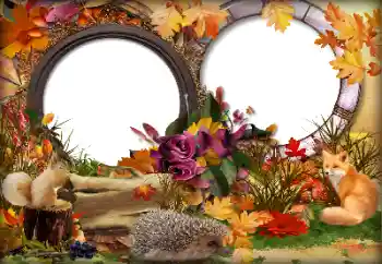 Photo effect from category Autumn № 142362