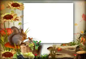 Photo effect from category Autumn № 142363
