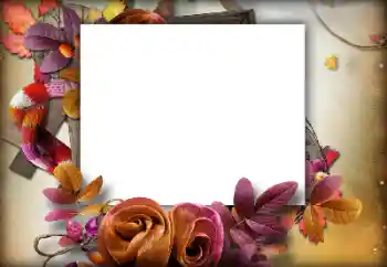 Photo effect from category Autumn № 142460