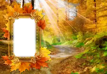 Photo effect from category Autumn № 142463