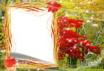 Photo effect from category Autumn № 143481