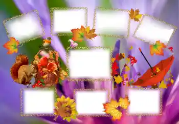 Photo effect from category Autumn № 143637
