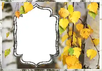 Photo effect from category Autumn № 144851