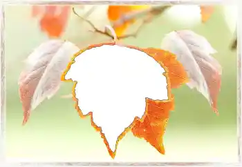 Photo effect from category Autumn № 145072