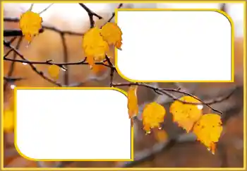 Photo effect from category Autumn № 145075
