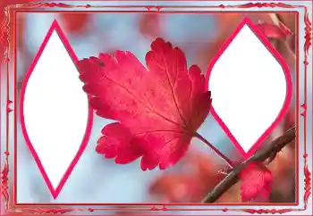 Photo effect from category Autumn № 145078