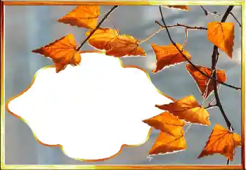 Photo effect from category Autumn № 145079