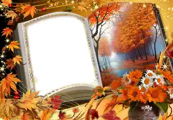Photo effect from category Autumn № 1539
