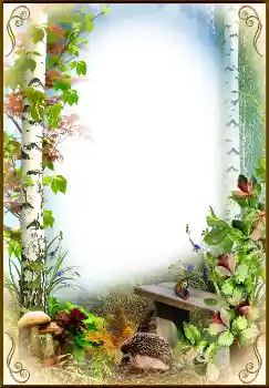 Photo effect from category Autumn № 1542