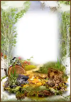 Photo effect from category Autumn № 1543