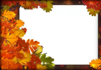Photo effect from category Autumn № 160787 Photo effect from category Autumn № 160787