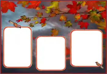Photo effect from category Autumn № 162013 Photo effect from category Autumn № 162013