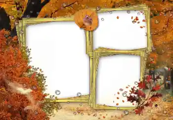 Photo effect from category Autumn № 162180 Photo effect from category Autumn № 162180