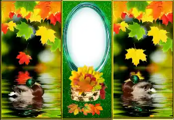 Photo effect from category Autumn № 163512 Photo effect from category Autumn № 163512