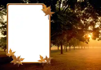 Photo effect from category Autumn № 166423 Photo effect from category Autumn № 166423