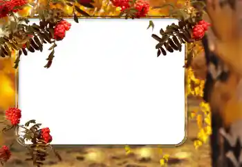Photo effect from category Autumn № 166546 Photo effect from category Autumn № 166546