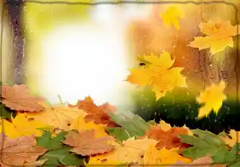 Photo effect from category Autumn № 174170