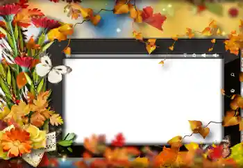 Photo effect from category Autumn № 191705