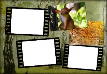 Photo effect from category Autumn № 192848