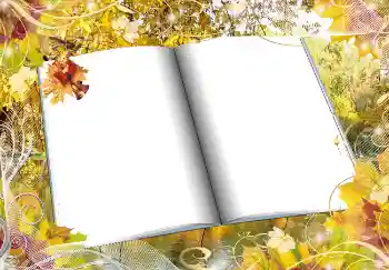 Photo effect from category Autumn № 2016 Photo effect from category Autumn № 2016