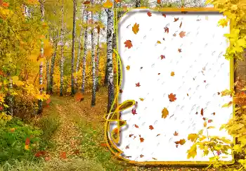 Photo effect from category Autumn № 2029 Photo effect from category Autumn № 2029