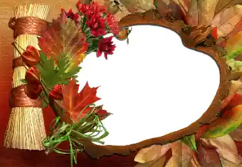 Photo effect from category Autumn № 5620