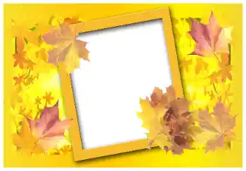 Photo effect from category Autumn № 58883
