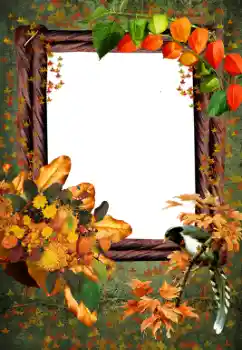 Photo effect from category Autumn № 59055
