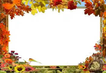 Photo effect from category Autumn № 62654 Photo effect from category Autumn № 62654