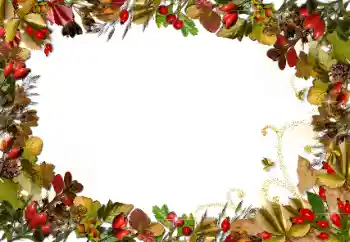 Photo effect from category Autumn № 89438 Photo effect from category Autumn № 89438