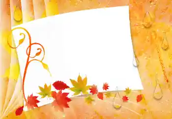 Photo effect from category Autumn № 9714