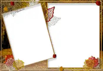 Photo effect from category Autumn № 9719