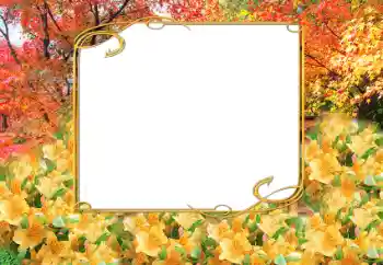 Photo effect from category Autumn № 9797
