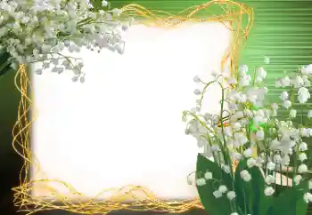 Photo effect from category Spring № 113120 Photo effect from category Spring № 113120