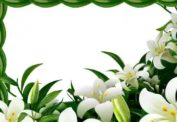 Photo effect from category Spring № 113129 Photo effect from category Spring № 113129