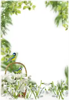 Photo effect from category Spring № 205355