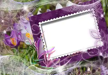 Photo effect from category Spring № 4618