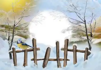 Photo effect from category Winter № 110837 Photo effect from category Winter № 110837
