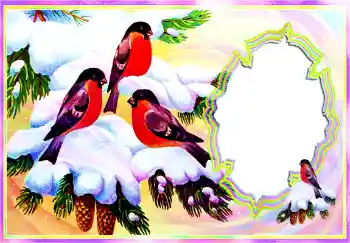 Photo effect from category Winter № 112098 Photo effect from category Winter № 112098