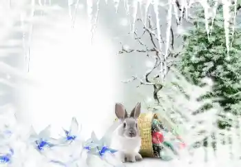 Photo effect from category Winter № 128650