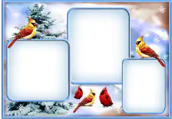 Photo effect from category Winter № 163360 Photo effect from category Winter № 163360