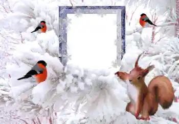Photo effect from category Winter № 194148 Photo effect from category Winter № 194148
