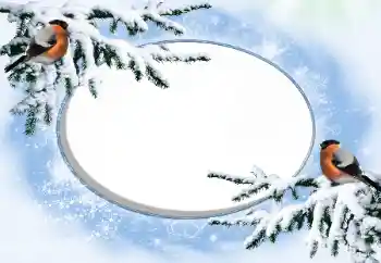 Photo effect from category Winter № 42676