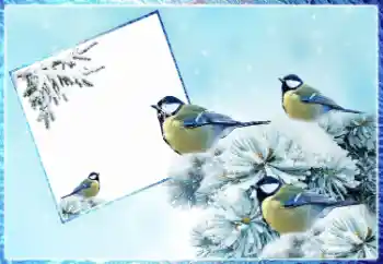 Photo effect from category Winter № 87962 Photo effect from category Winter № 87962
