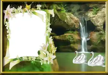 Photo effect from category Wedding frames № 101464