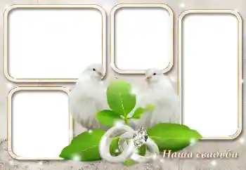 Photo effect from category Wedding frames № 124417. An inscription on the frame: Our wedding Photo effect from category Wedding frames № 124417. An inscription on the frame: Our wedding