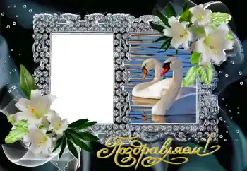 Photo effect from category Wedding frames № 130161. An inscription on the frame: Congratulations! Photo effect from category Wedding frames № 130161. An inscription on the frame: Congratulations!