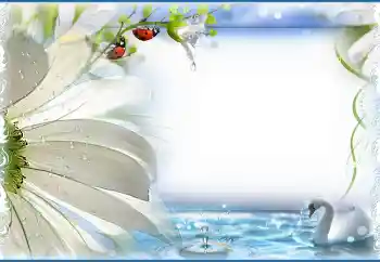 Photo effect from category Wedding frames № 130819 Photo effect from category Wedding frames № 130819