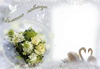 Photo effect from category Wedding frames № 15058. An inscription on the frame: Вместе навсегда! Photo effect from category Wedding frames № 15058. An inscription on the frame: Вместе навсегда!