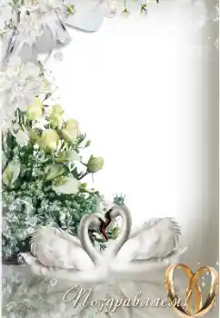 Photo effect from category Wedding frames № 154743. An inscription on the frame: Congratulations! Photo effect from category Wedding frames № 154743. An inscription on the frame: Congratulations!